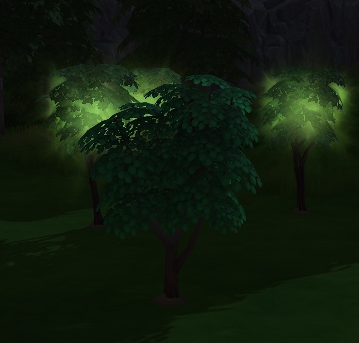 the-glowing-trees